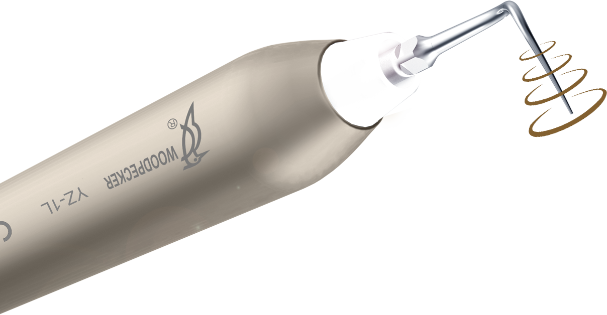 Woodpecker PT3 - skaler PAINLESS - obrazek 7